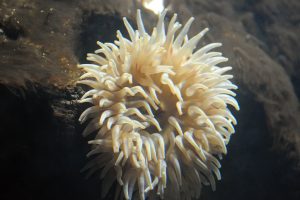 Baltimore Aquarium