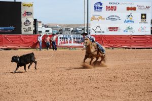 Las Vegas Rodeo