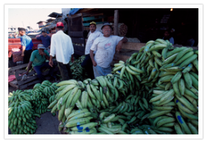 Dominican Republic