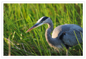 Florida – Everglades National Park