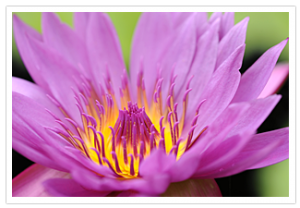 Florida, Coral Gables – Fairchild Tropical Botanic Garden