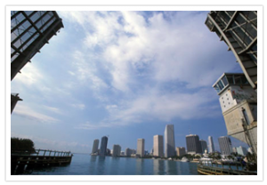 Florida – Miami Skyline