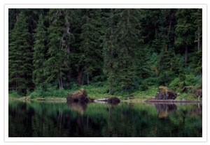 Canada, Vancouver, British Columbia