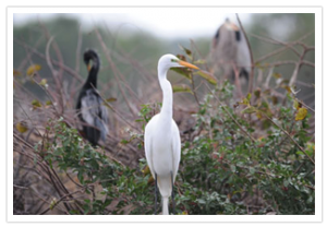 Florida, West Palm Beach – Busch Wildlife Sanctuary